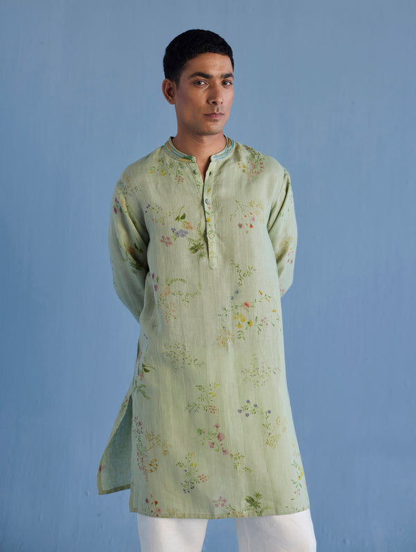 Ahan Floral Printed Kurta with Embroidered Collar - Mint