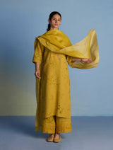 Para Hand-Embroidered Linen Kurta Set  - Ochre